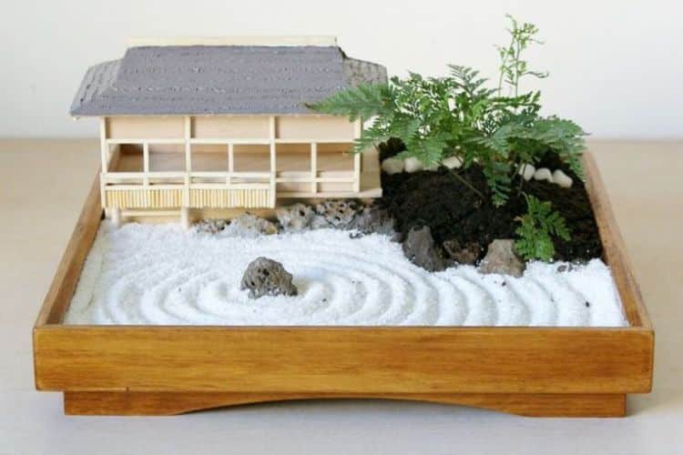 Indoor Miniature Zen Garden